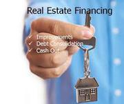 Real estate investment and service 