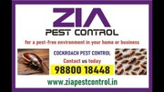 Cockroach Pest cleaning services | AMC is also available Price List 