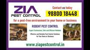 Pest Control near me |Zia Pest Control Services,  f Paying guest | 7043