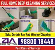 Professional Deep Cleaning 